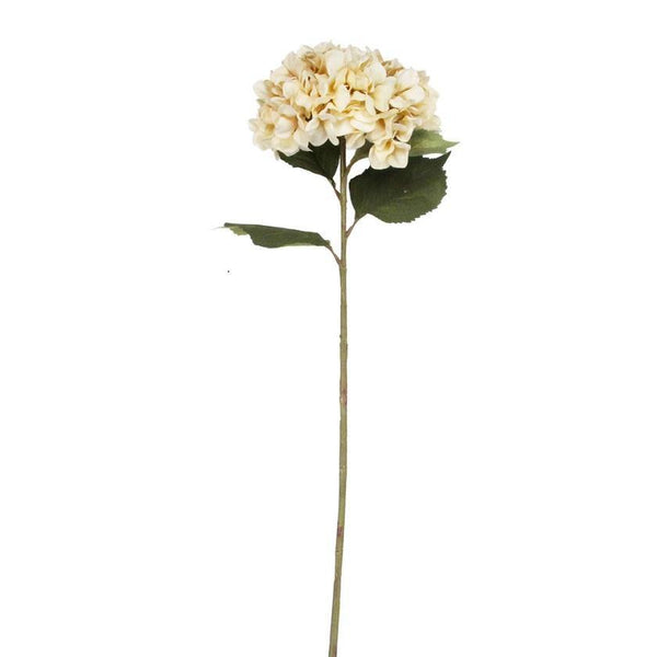 Antique Cream Hydrangea Stem