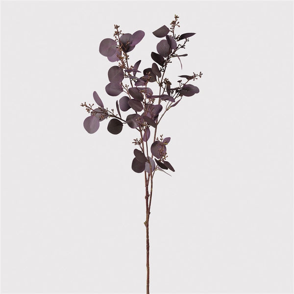 Aubergine Eucalyptus Spray