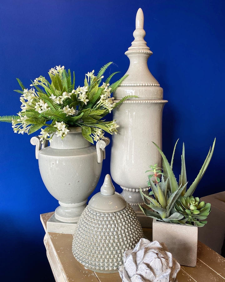 Cactus in Grey Pot