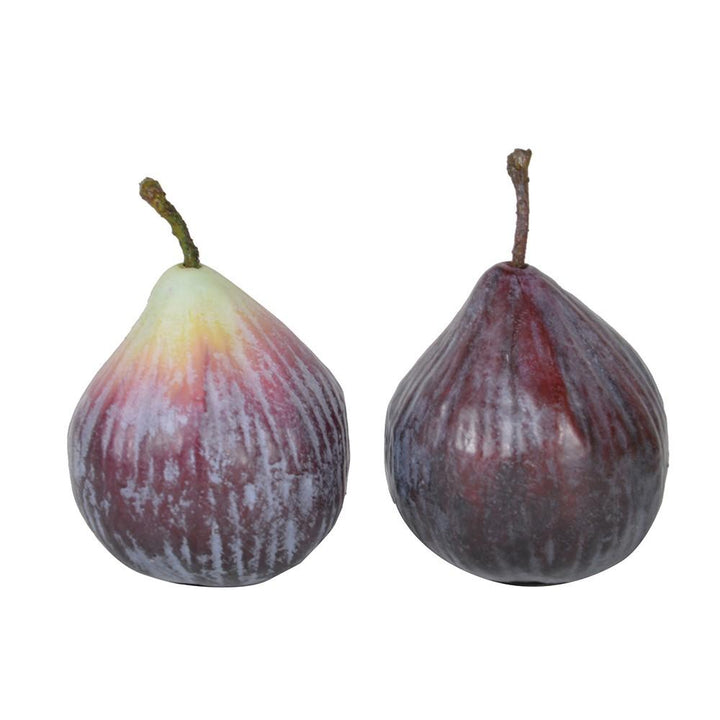 Fig