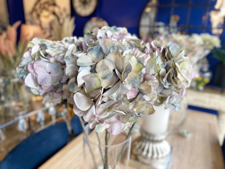 Pale Lavender Hydrangea