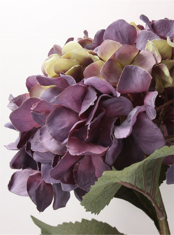 Purple Hydrangea Stem