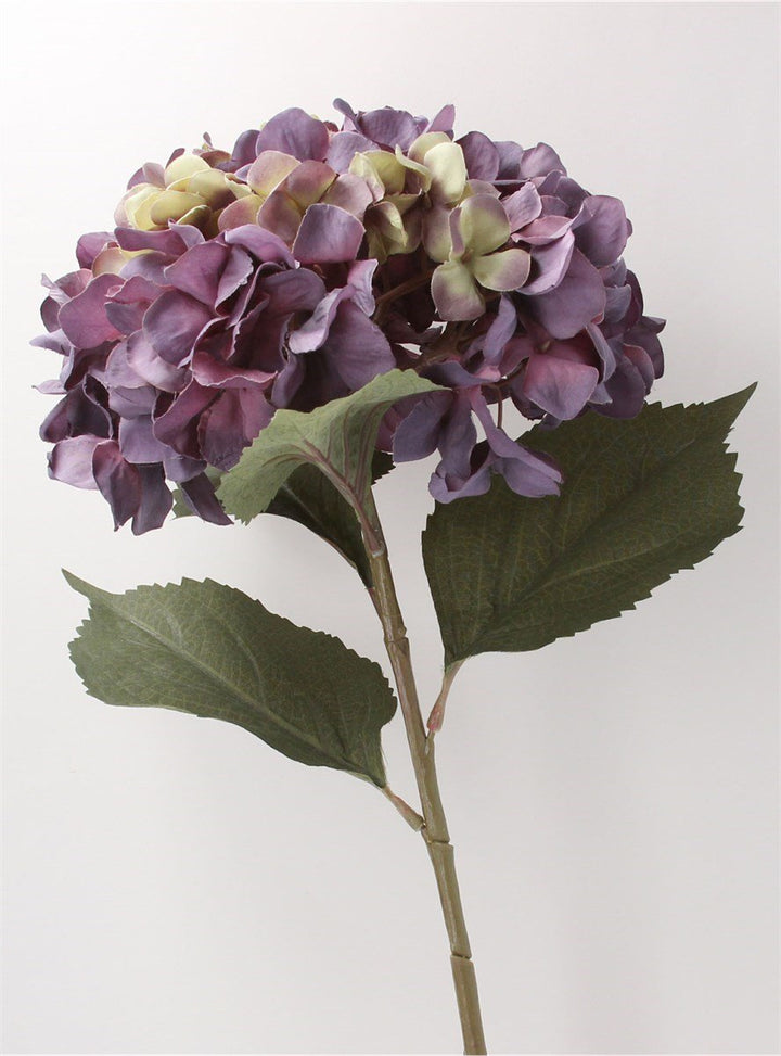 Purple Hydrangea Stem