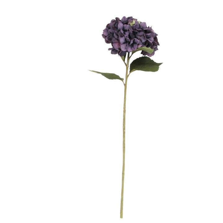 Purple Hydrangea Stem