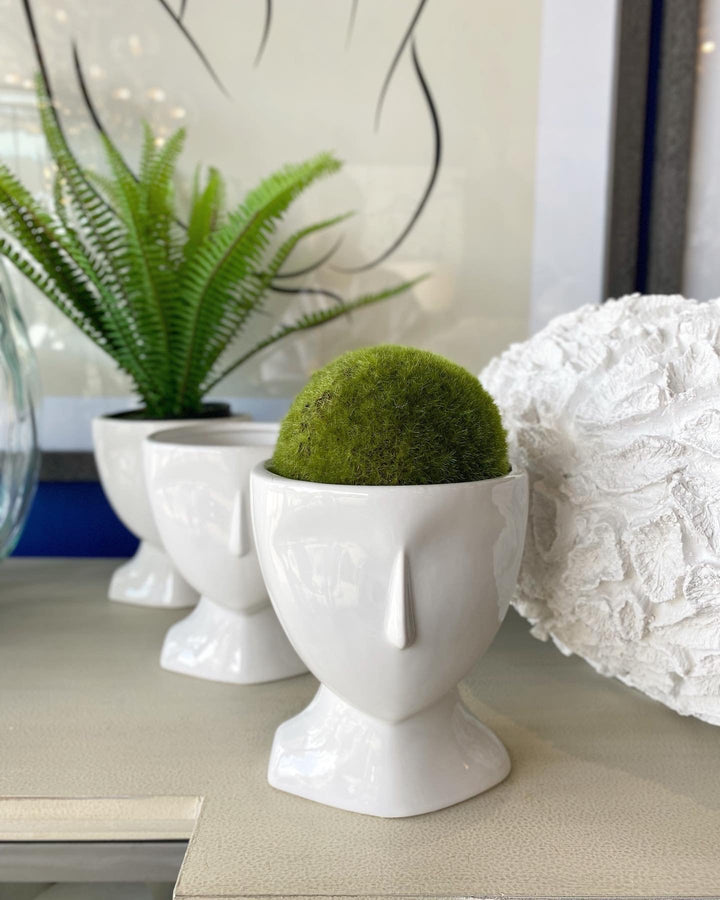 White Face Planter