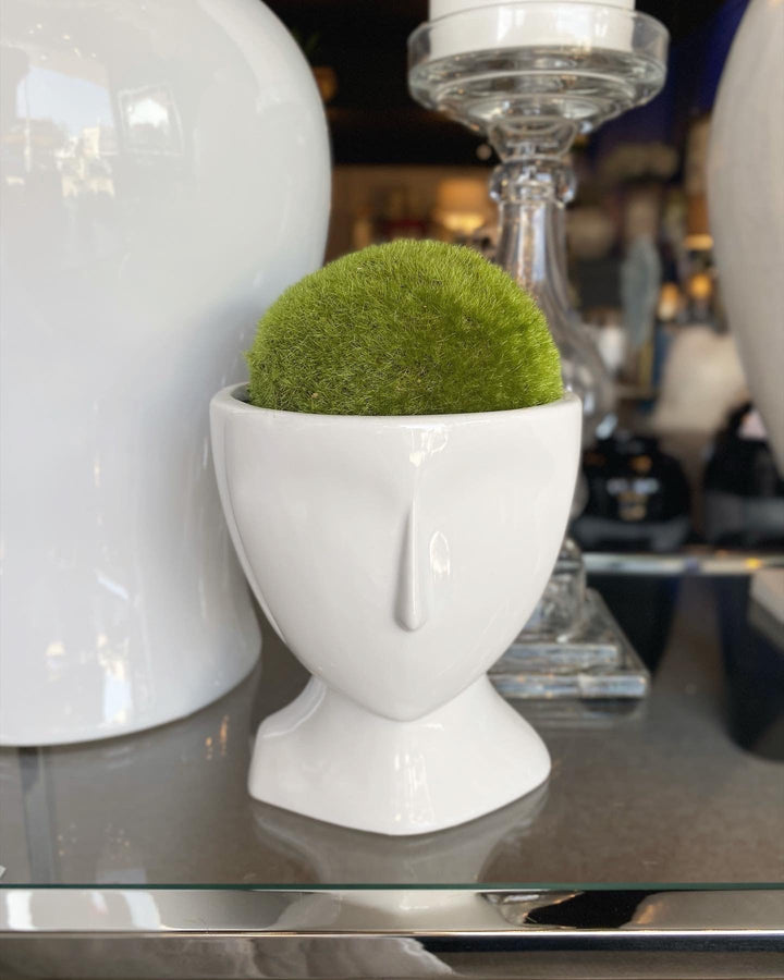 White Face Planter