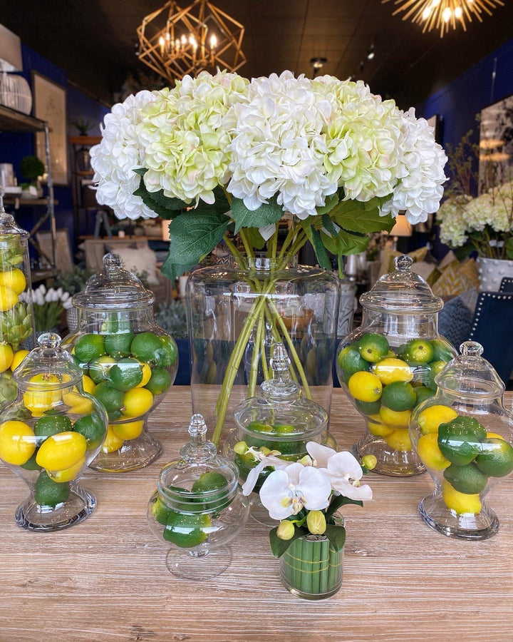 White Hydrangea Stem