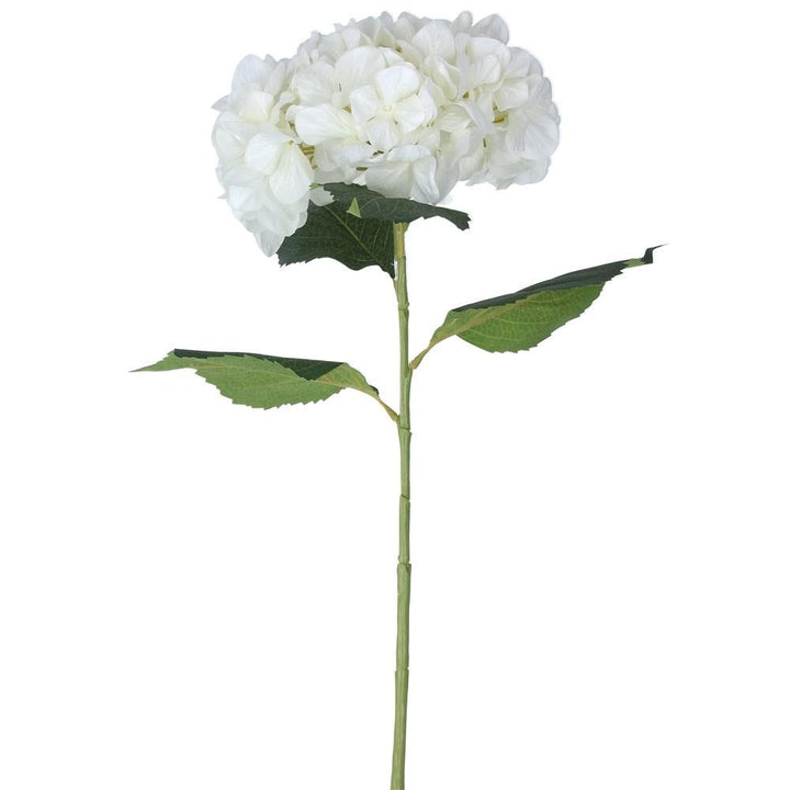 White Hydrangea Stem