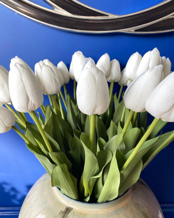 White Tulip Stem